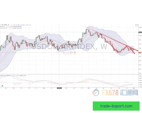 亚洲杯各队伤停最新动态解读及对赛事走势的深度影响分析全面前瞻