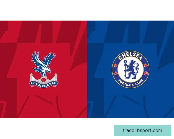 水晶宫失安德森后迅速引进查洛巴拉克鲁瓦重建三中卫体系