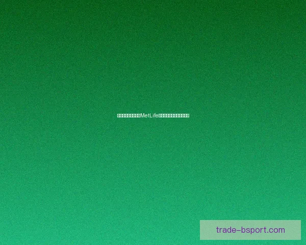 以世界杯为契机打造MetLife体育场全球足球盛会新地标 以世界杯为契机打造MetLife体育场全球足球盛会新地标